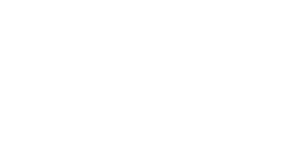 Best Partner