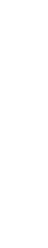 Case 06